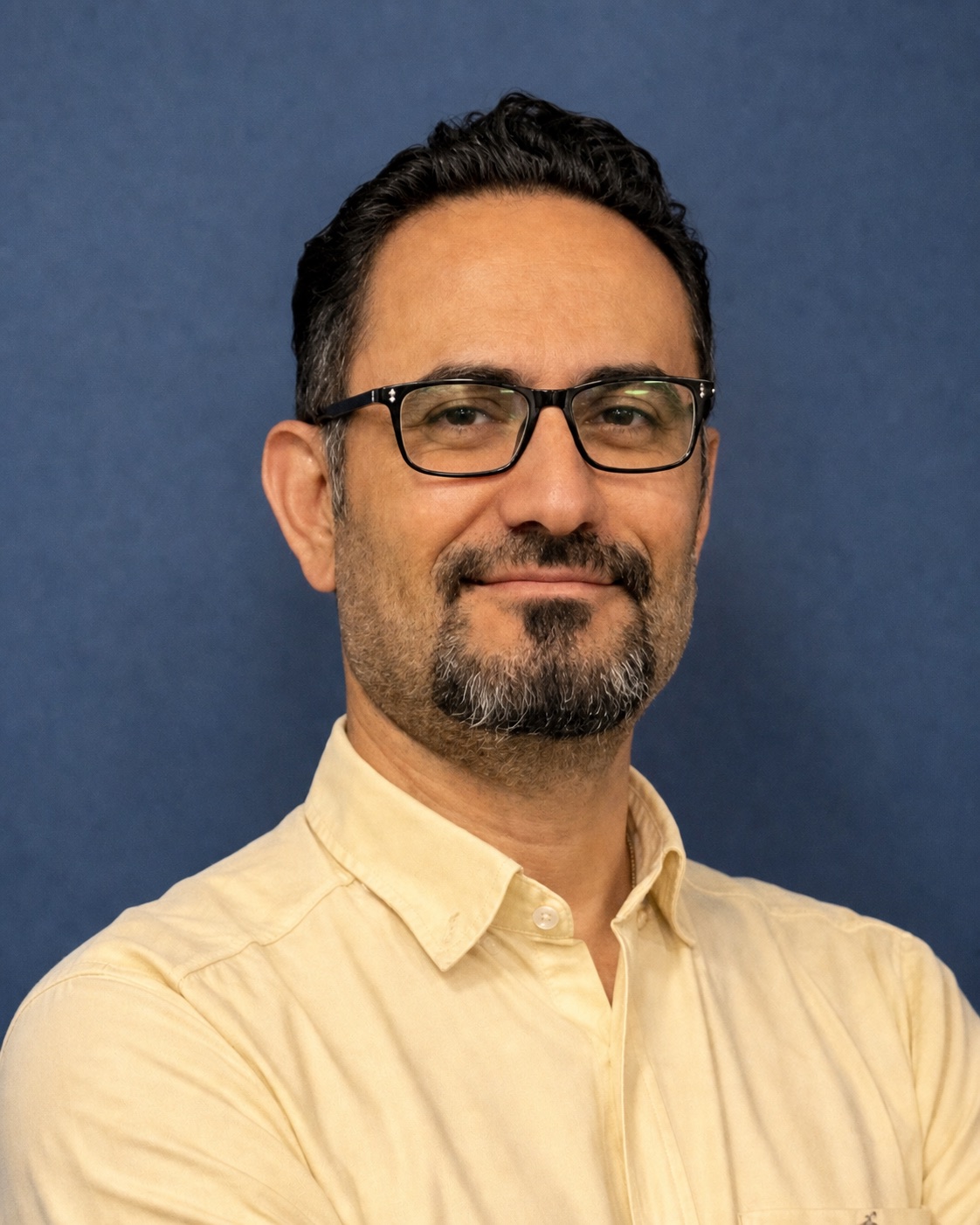 Mehdi Nejadrasouli, executive and organizational coach